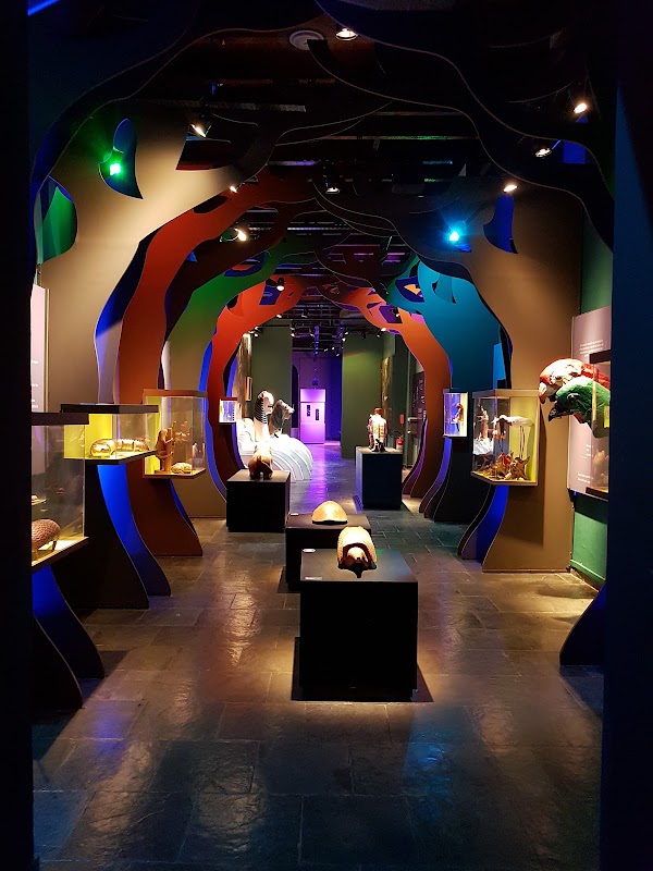 Museu de Folclore Edison Carneiro