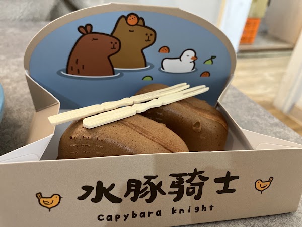 Capybara Knight 4