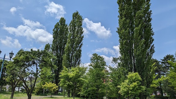 Oike Park 1