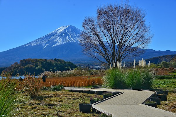Oike Park 5
