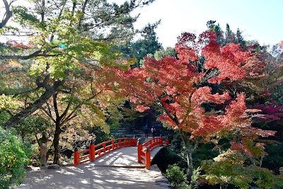 Momijidani Park 1