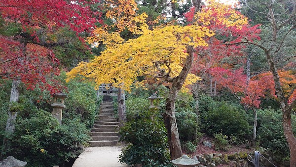Momijidani Park 5