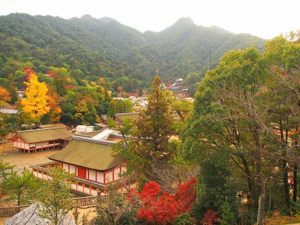 Momijidani Park 4