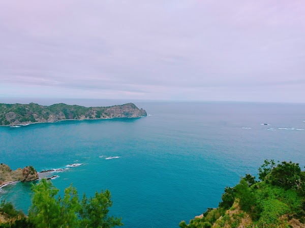 Ogasawara 5