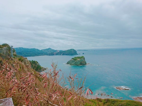 Ogasawara 4