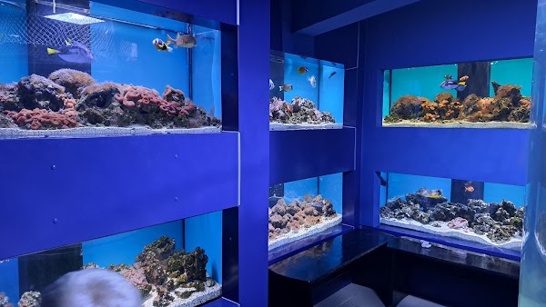 "The Danube Delta" Museum of Ecotourism 1