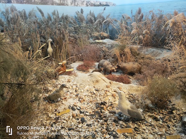 "The Danube Delta" Museum of Ecotourism 2