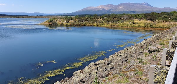 Tongariro 5