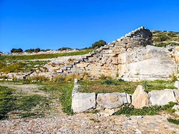 Thoricus