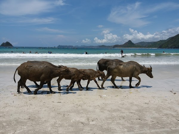 Bali 2026 17