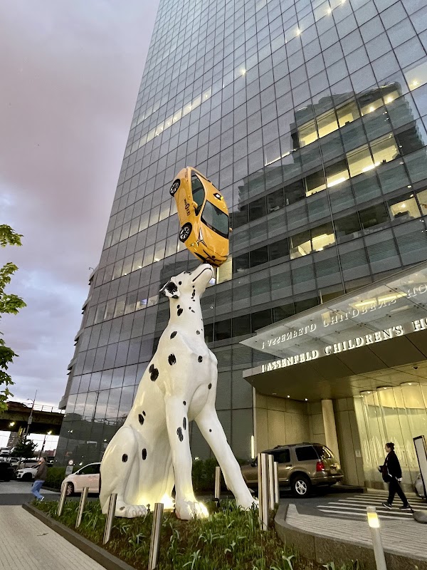 NYU Langone Health 5