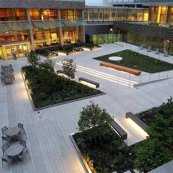NYU Langone Health 3
