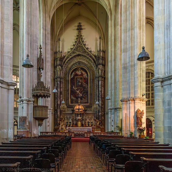 Wiener Minoritenkirche 5