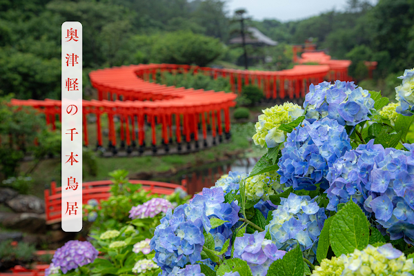 Japan 23