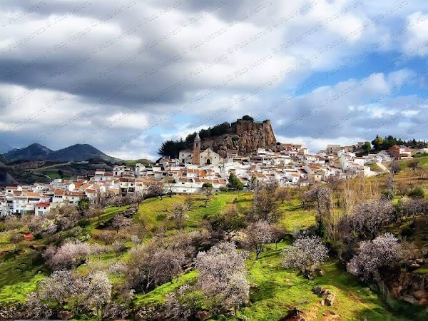 Ardales 1