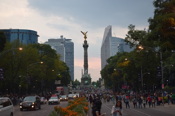 Avenida Paseo de la Reforma 5