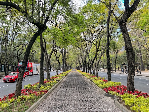 Avenida Paseo de la Reforma 2