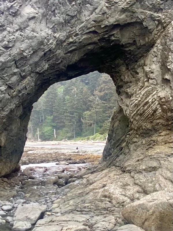 California 32
