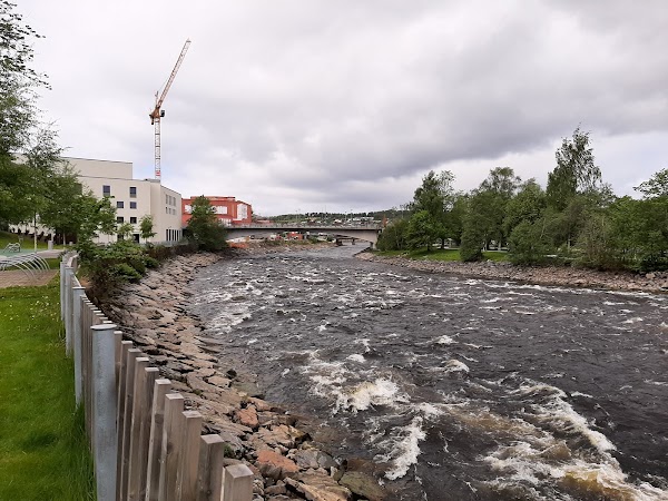 Norge 12