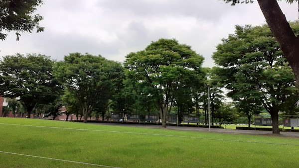 Duksung Women's University 3