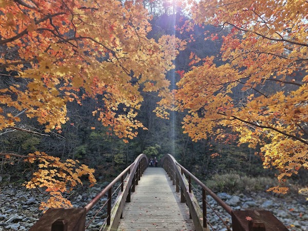 Odaesan National Park 5