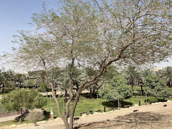 Cave Park 5