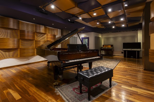 Estudio 13