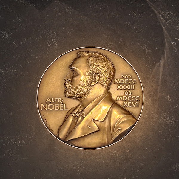 Nobel Prize Museum 5