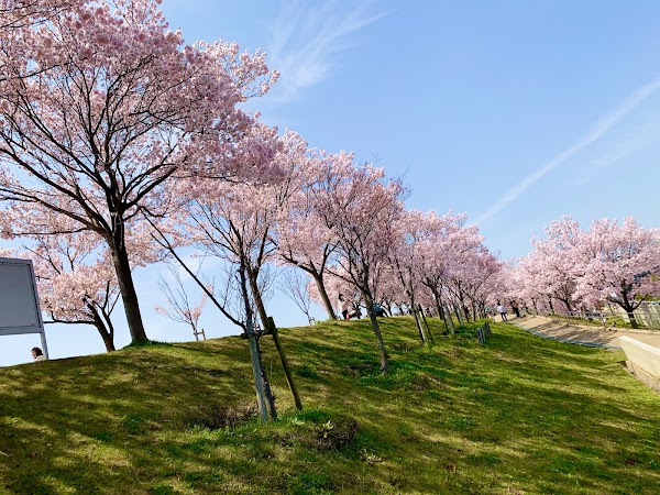 Sayama-ike Pond