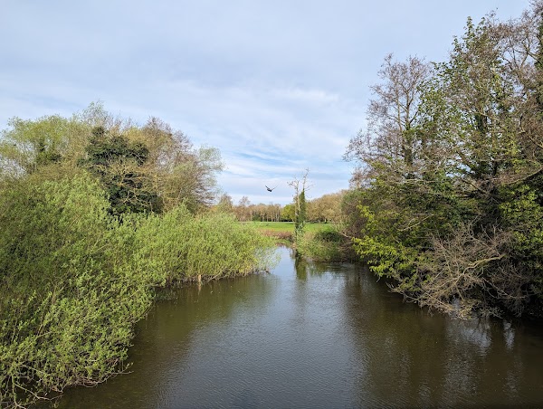 Anderson's Meadow