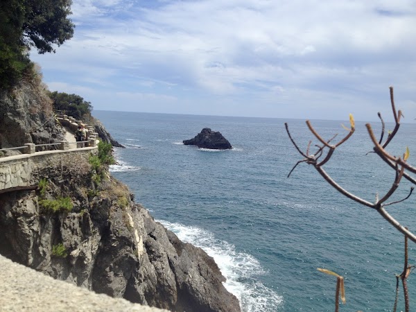Sentiero Monterosso - Vernazza 5