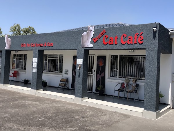 Cat Heaven Gift Shop 1