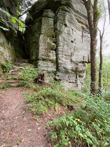 Allegheny National Forest - Minister Creek Trail 3