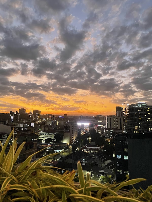 Jenga Jungle Restaurant 4