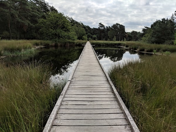 Eendenmeer 1