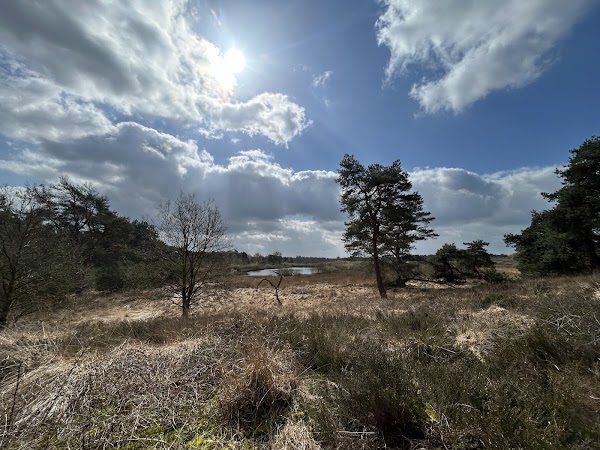 Eendenmeer 4