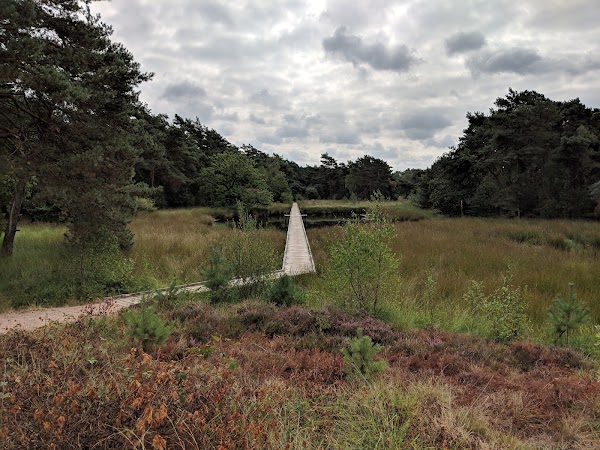 Eendenmeer 3