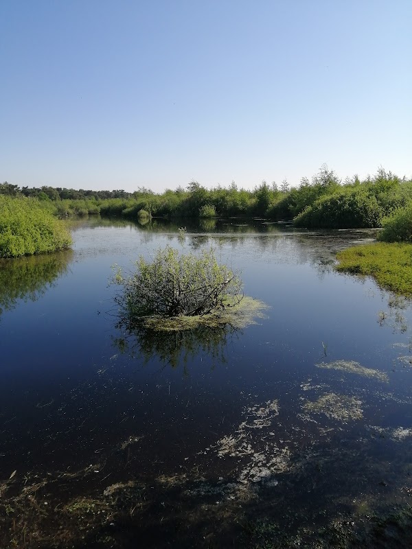 Eendenmeer 2