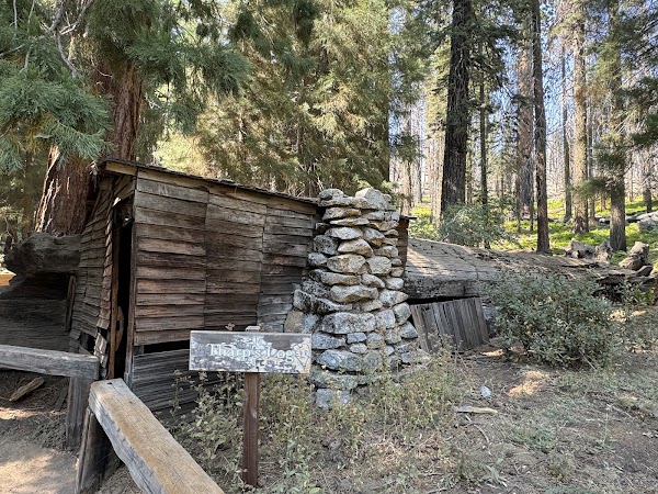 Tharp's Log