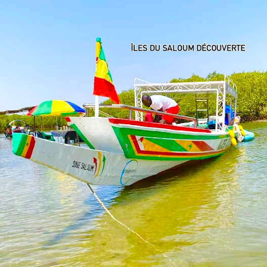 Iles du saloum Découverte 5