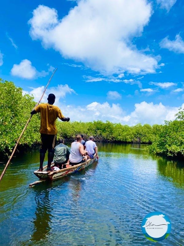 Iles du saloum Découverte 2