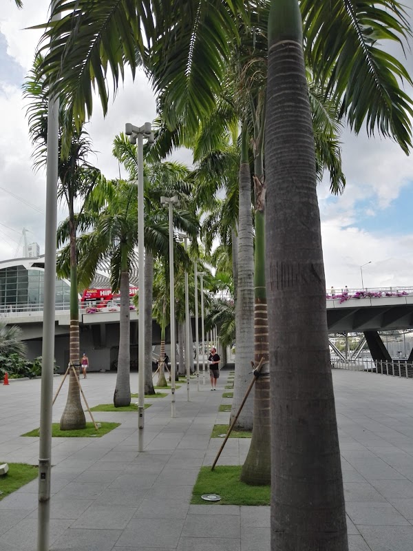 Singapore 4