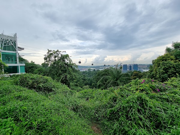 Singapore 3