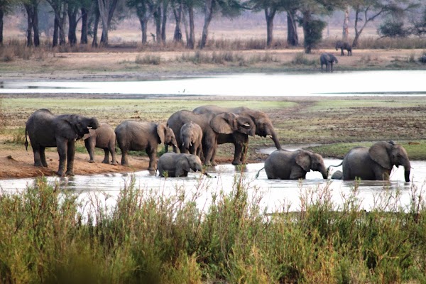 Vwaza Marsh Wildlife Reserve