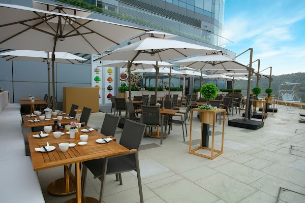 樂天皇朝Paradise Dynasty