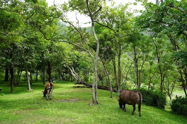 Long Ke Wan Beach 4