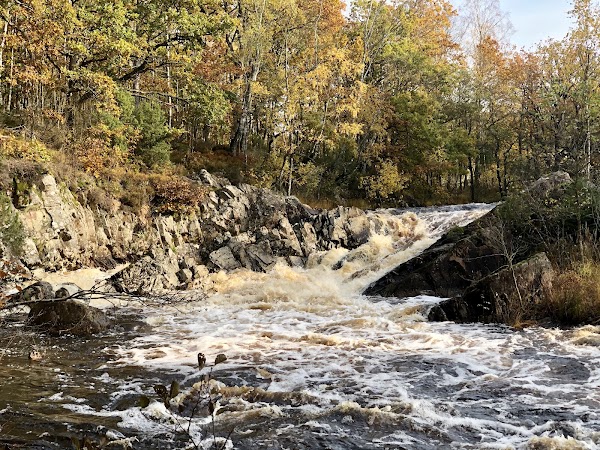 Sumpafallen Nature reserve
