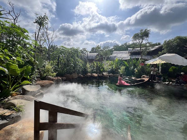 Cái Tổ Chim 4