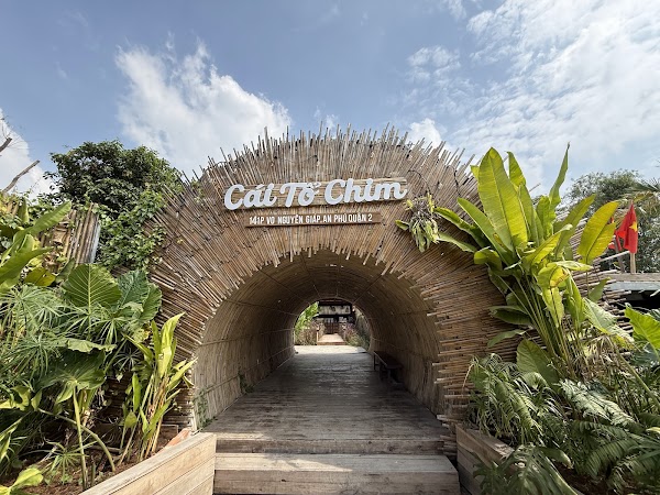 Cái Tổ Chim 3