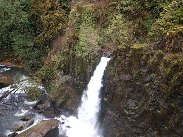 Drift Creek Falls 5